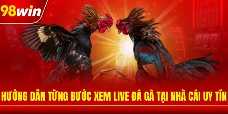 Hướng dẫn từng bước xem live đá gà tại nhà cái uy tín