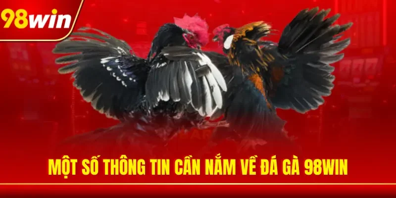 Một số thông tin cần nắm về đá gà 98WIN